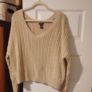 Forever 21 Beige V-Neck Crop Sweater